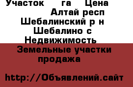 Участок 6.6 га  › Цена ­ 2 500 000 - Алтай респ., Шебалинский р-н, Шебалино с. Недвижимость » Земельные участки продажа   